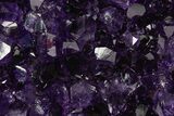 Free-Standing Amethyst Crystal Cluster - Uruguay #368272-1